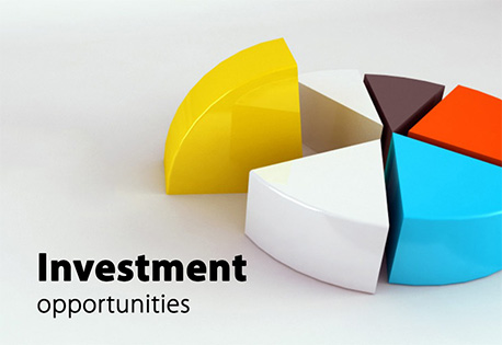 سرمایه گذار