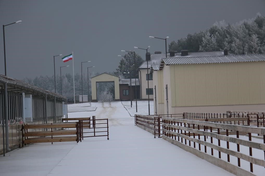 دامپروری صنعتی در جمهوری بلاروس